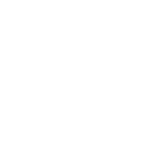 Icône Instagram blanc